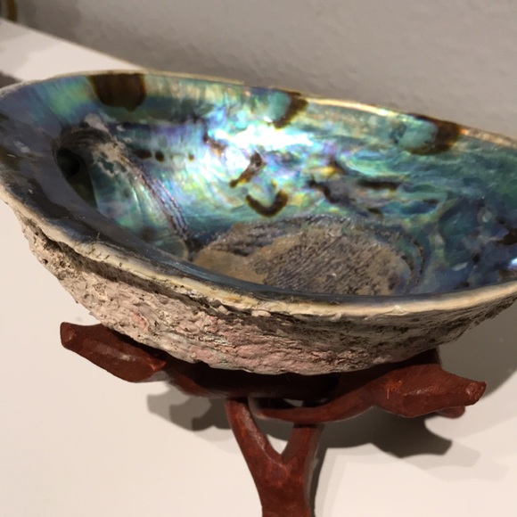 Beautiful Blue Shell Beautiful Stand Coastal Decor FINAL SALE - Picture 6 of 9